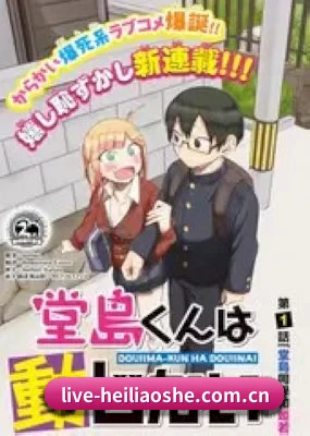 用内容积累长期价值